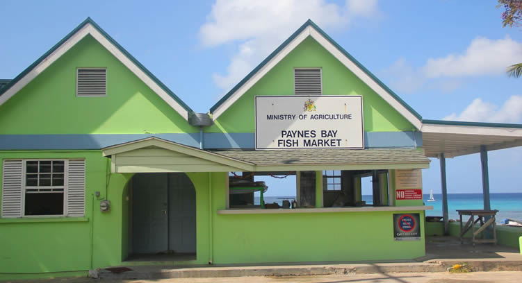 Barbados Fish Market