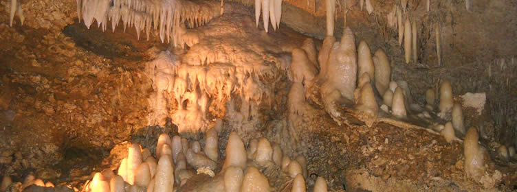 Harrison's Cave Barbados