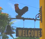 View from the condo terrace of the ocean, beach and trees