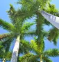 Coco Hill Forest - Hikes & Tours
