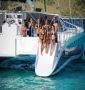 Jammin' Catamaran Cruises