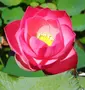 Garden Delight Full-Day Tour