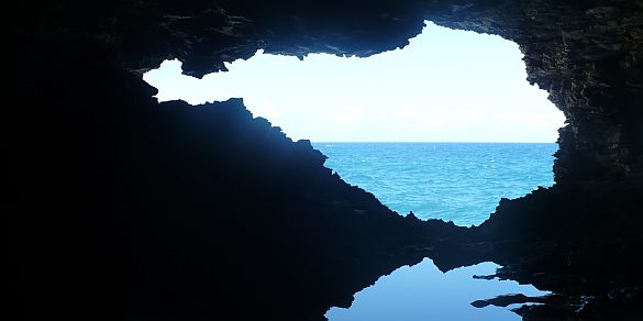 Cave opening at the Animal Flower Cave