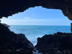 Gazing Out To Sea