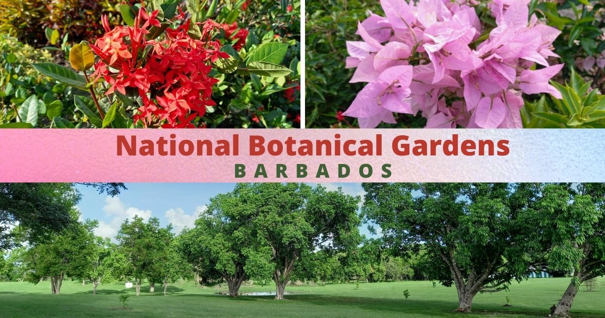 Barbados National Botanical Gardens