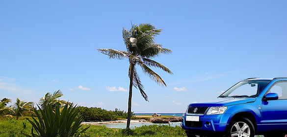 Barbados Driving Tips