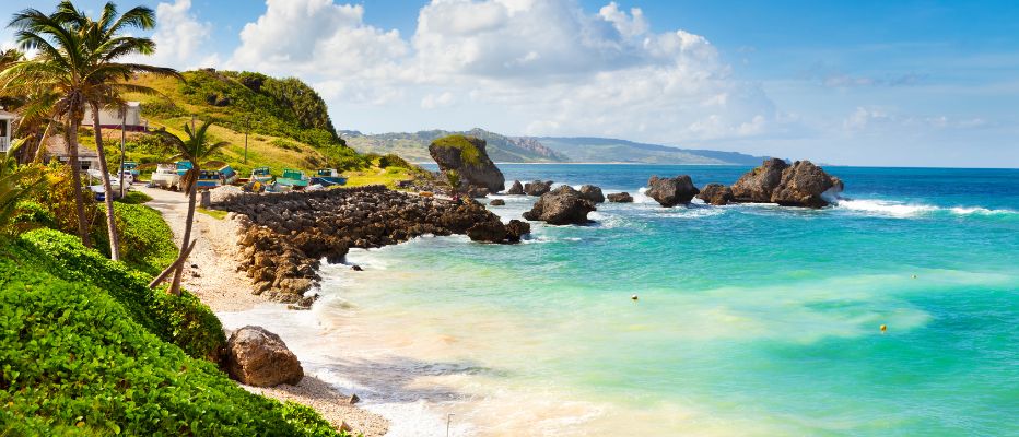 Tranquil bay with swaying palms and traditional fishing boats