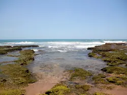 Ocean Pools & Open Seas