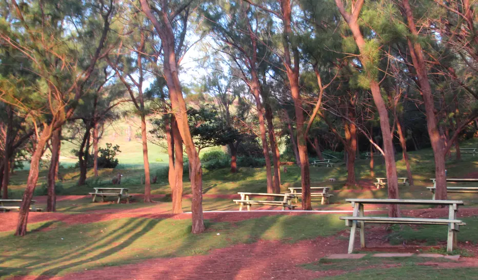 Picnic benches in Barclays Park