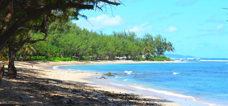 Bath beach, Barbados