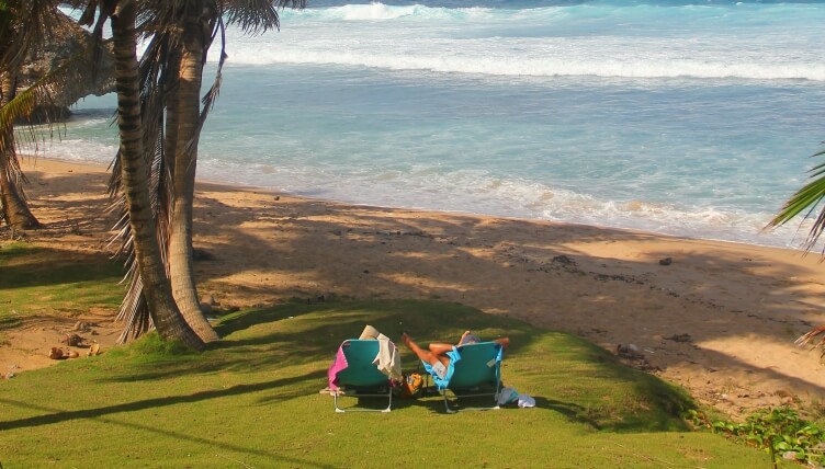 Relaxing at Bathsheba Park