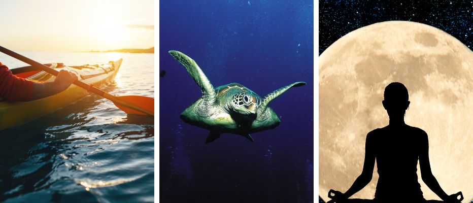 Collage of kayaking at sunset, a turtle swimming underwater, and a lady doing yoga under a full moon