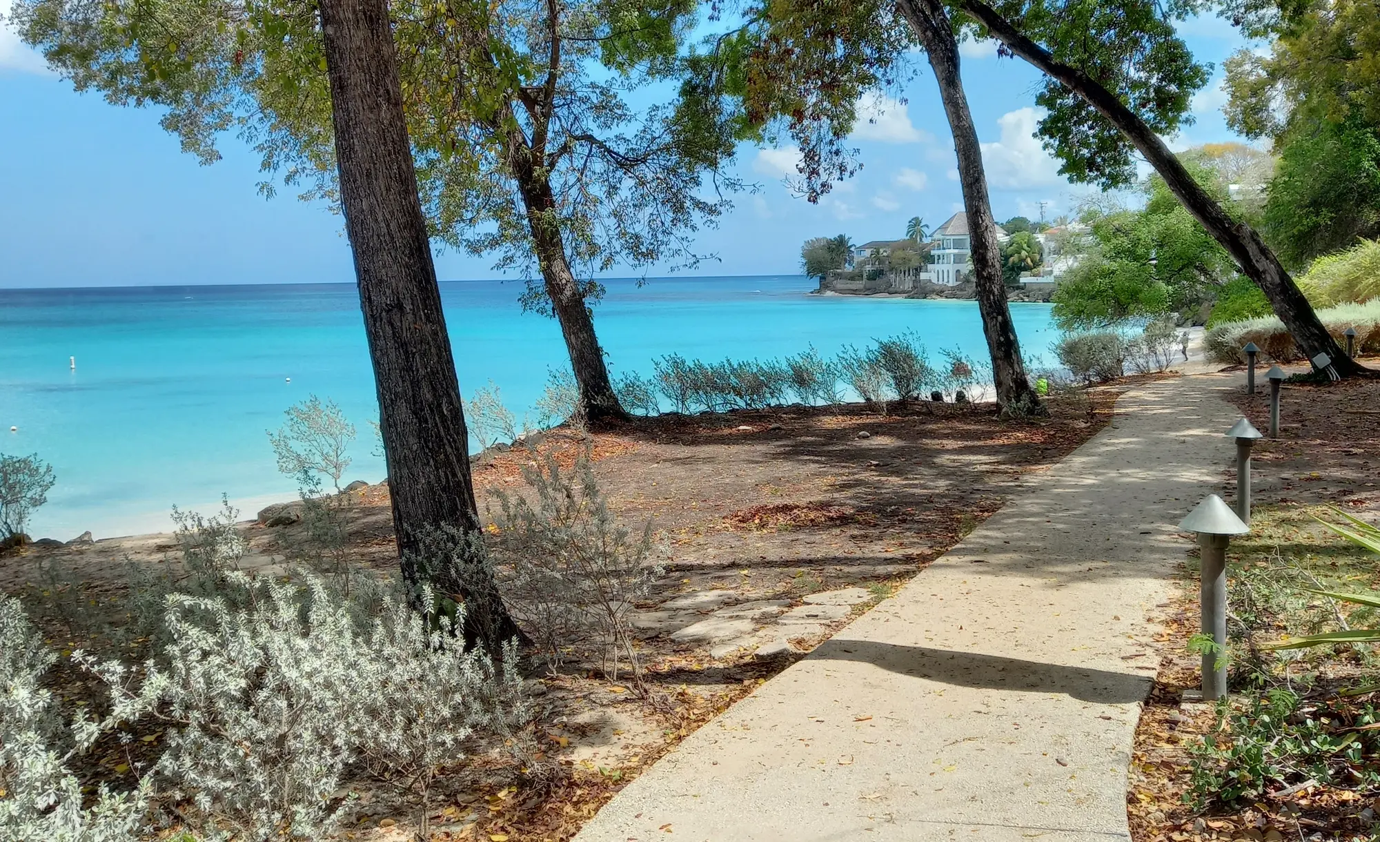 Heading up the pathway at Batts Rock beach