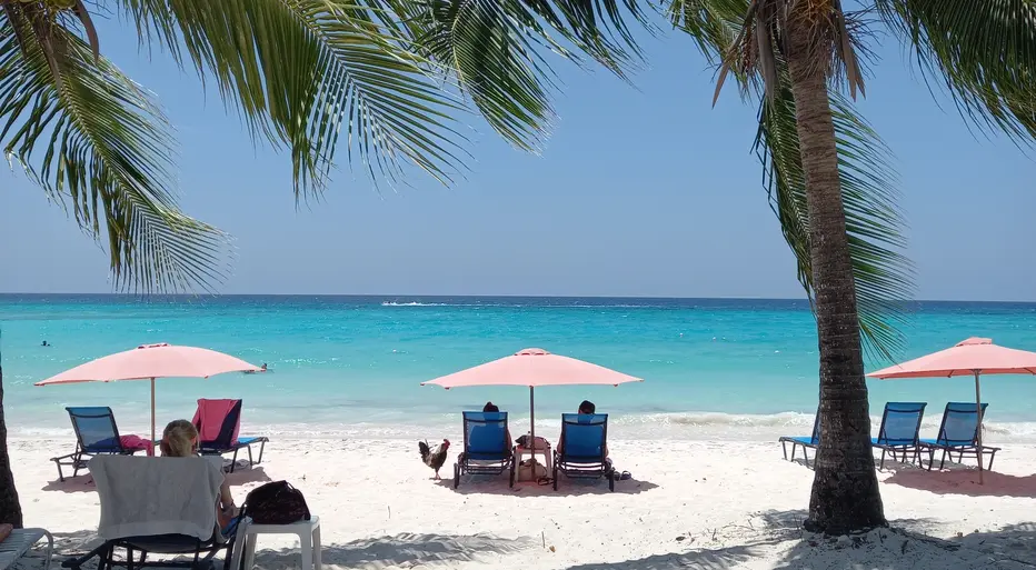 Lounging on Dover Beach
