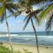 Barbados Beaches Photogallery