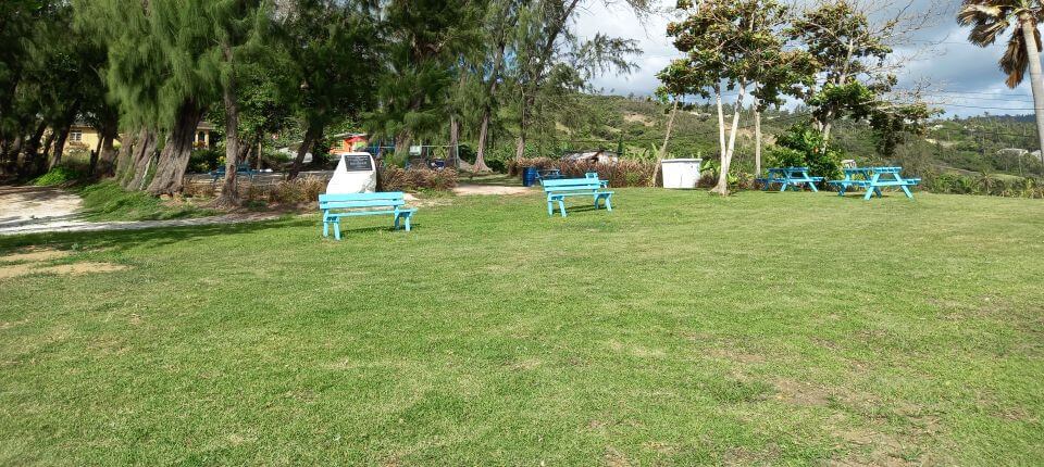 Lush grass at Beachmont Community Park