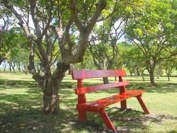 Relaxing on a park bench