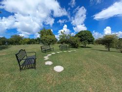 Semi circle of benches