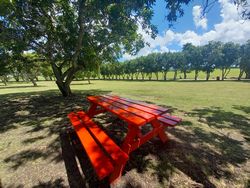 Red picnic bench under the trees