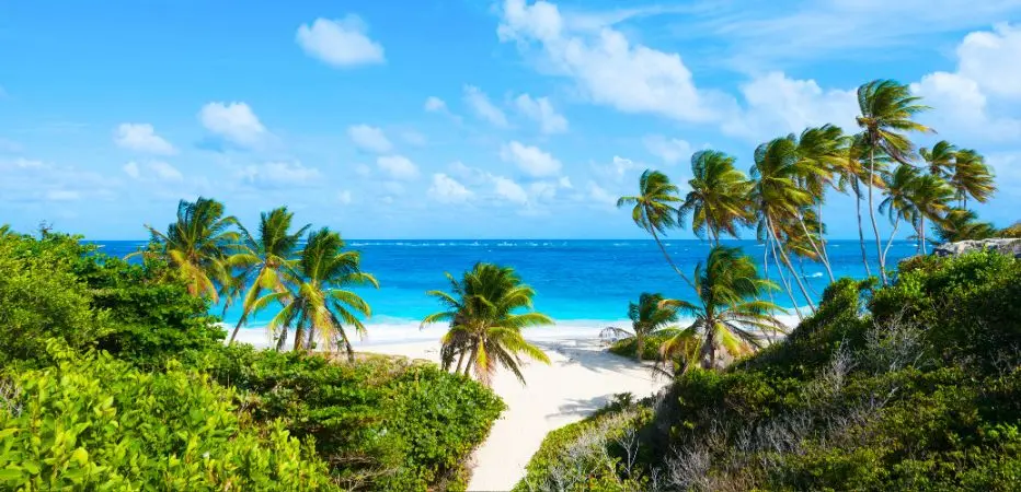 Enticing path leading to Bottom Bay beach on Barbados' south-east coast