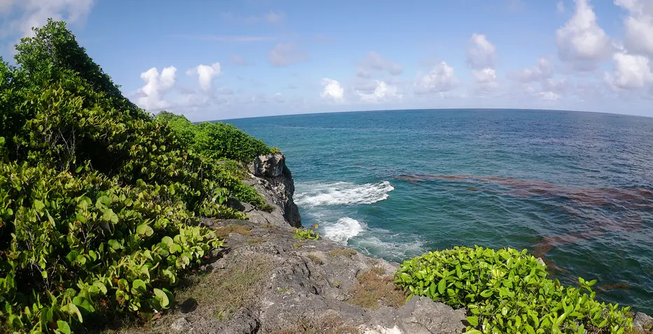 View looking out to sea along the clifftop