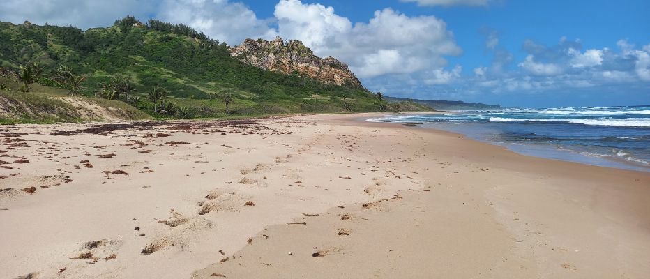 A wide beach stretches before us with waves rolling in