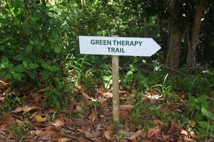 Green Therapy Trail