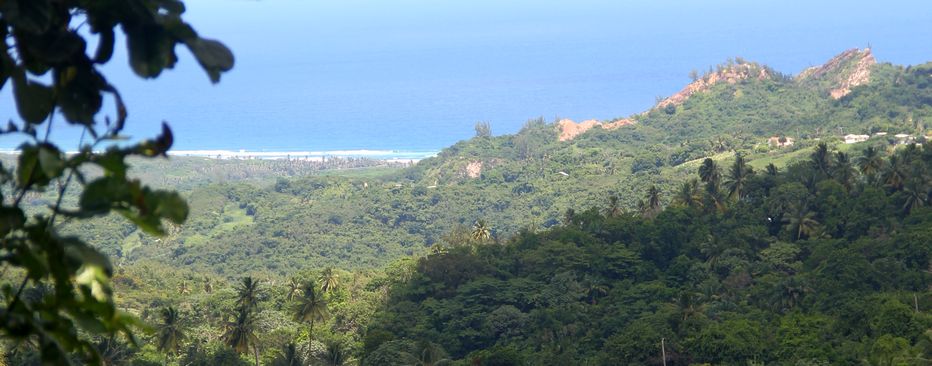 View of the east coast of Barbados from Coco Hill Forest