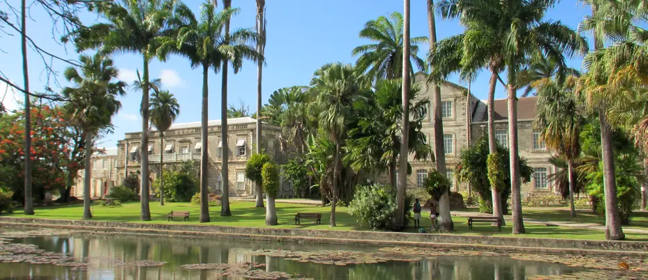 Panoramic view of the historic building and lily pond