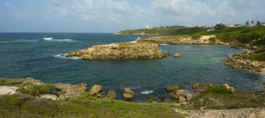 Culpepper Island with Ragged Point Lighthouse in the distance