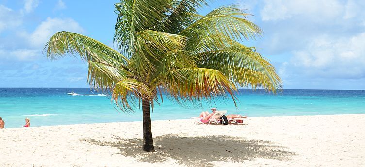 Barbados Beaches Dover Beach