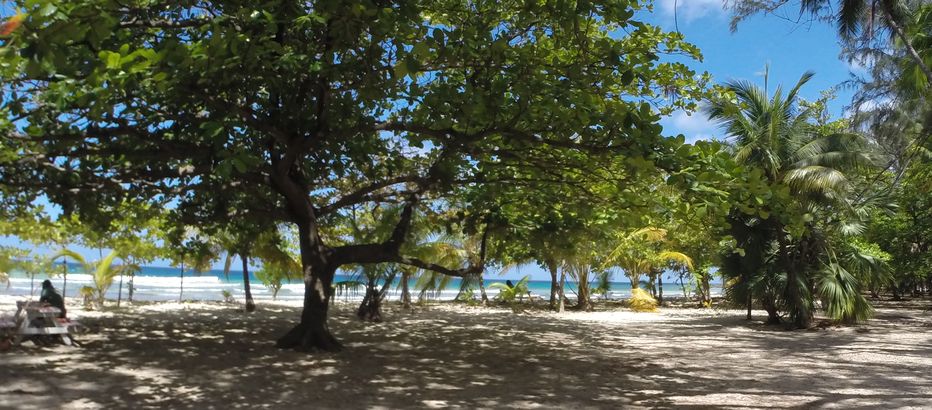 Relax in the shade Relax in the shade at Drill Hall beach