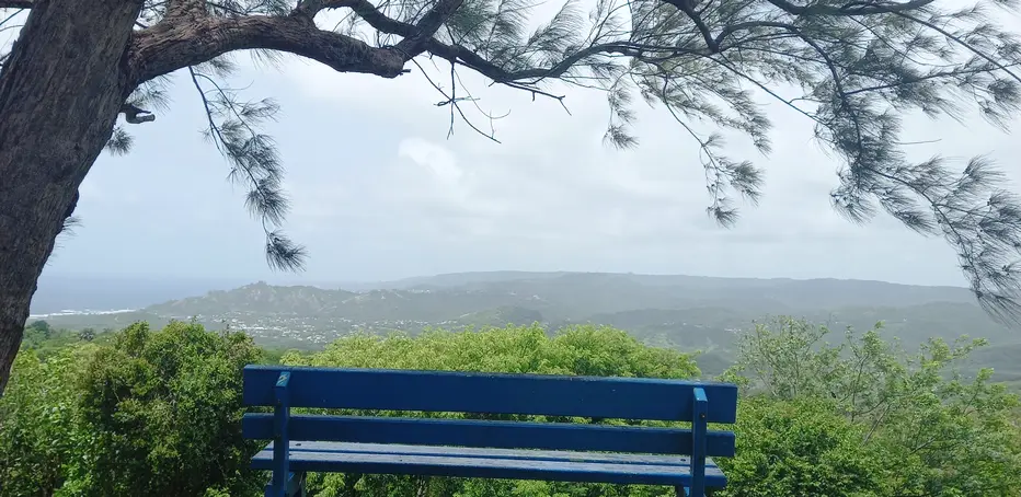 View at Farley Hill