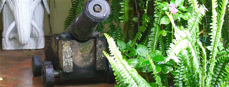 Cannon at Fisherpond Plantation House