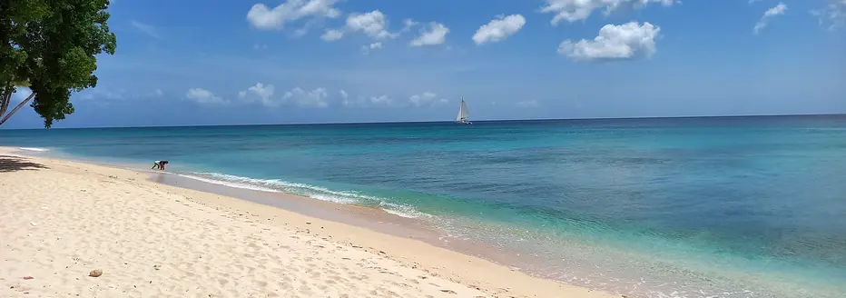 A catamaran heads up the coastline just offshore