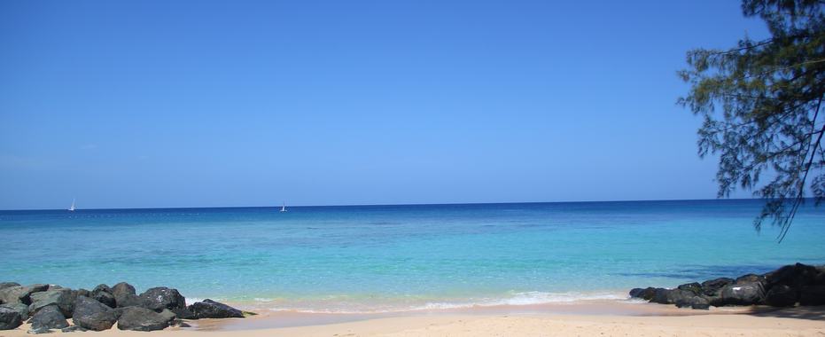 Snorkeling Area at Folkestone