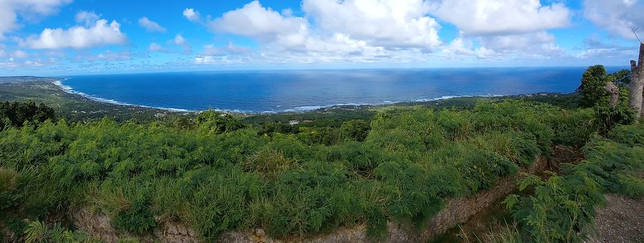 Overlooking the forested area below Hackleton's Clifftop