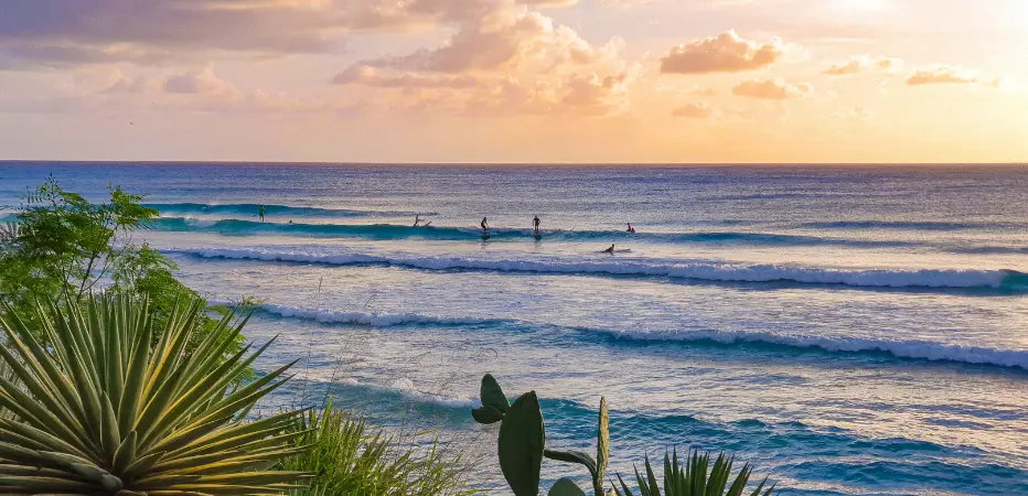 A handful of surfers catch the day's last waves under an orange sunset sky