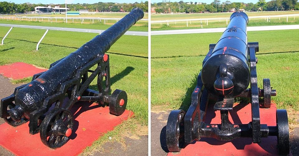 Cannon at Garrison Savannah