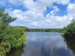 Lake Tarpon Lake Tarpon