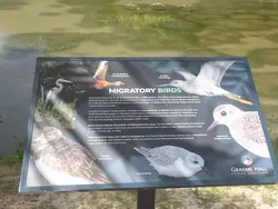 Migratory Birds Signage Migratory Birds Signage