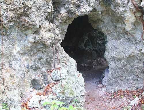 Cave in Grenade Hall Forest