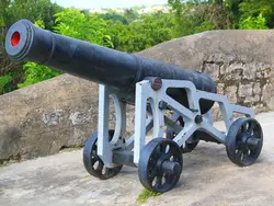 Cannon