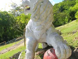 Side View of Lion