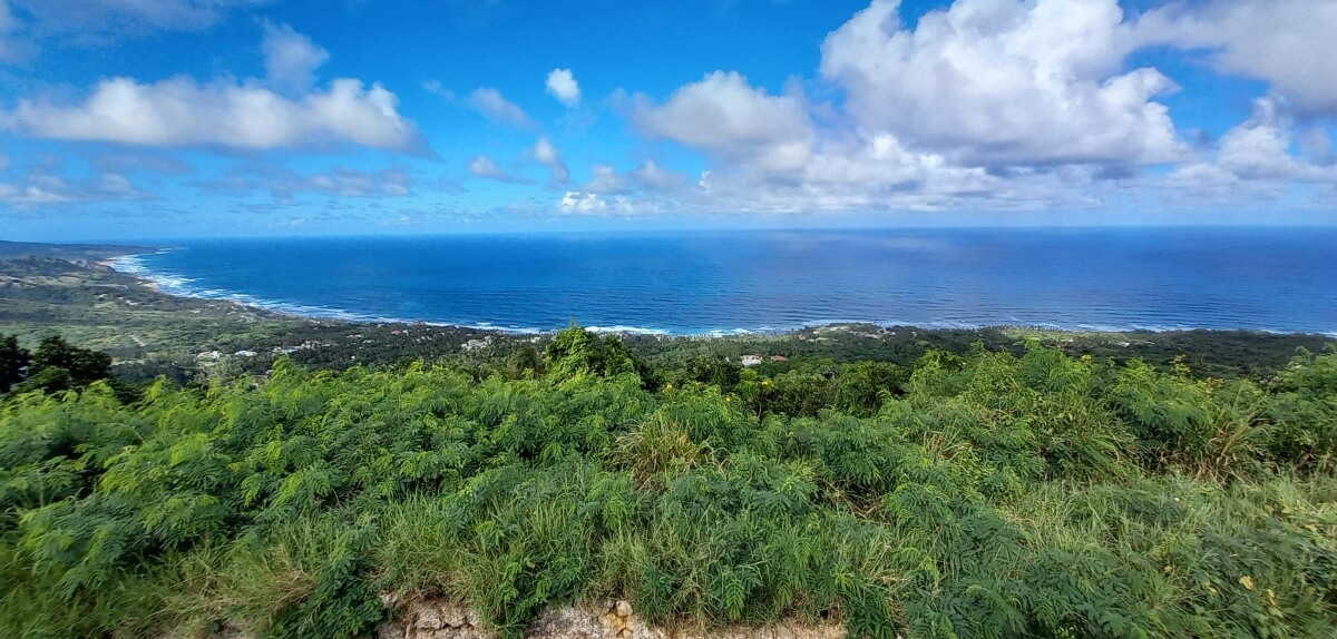 Barbados Attractions Hackleton's Cliff