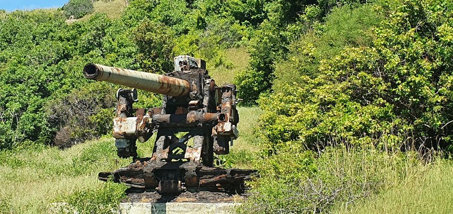 Smaller gun at the HARP site