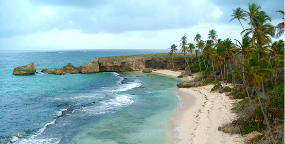 Harrismith Beach, Barbados