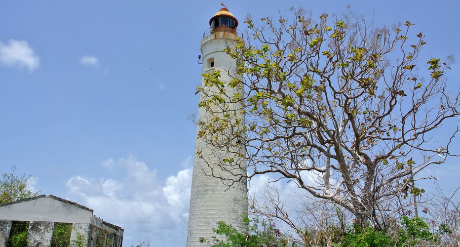 View of the lighthouse and adjoining building