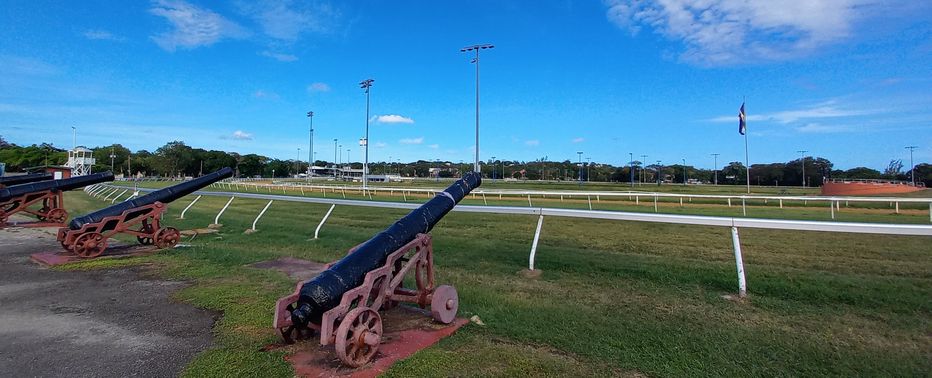 Historic cannon collection at Garrison Savannah with the monument on the right