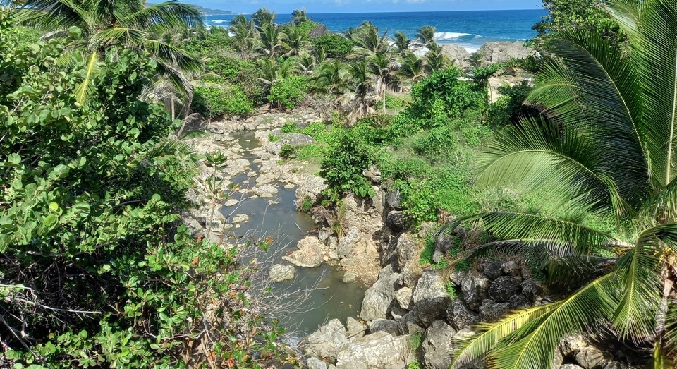 Overlooking Joes River towards the coast